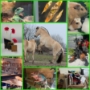 Samen Precies Goed - Dagbesteding Leusden