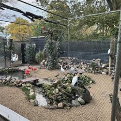 Vogelspeciaalzaak de Toekan