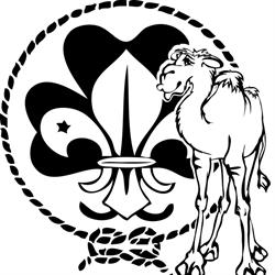 Scoutinggroep Zuylensteyn