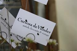 Curiosa de Vlinder