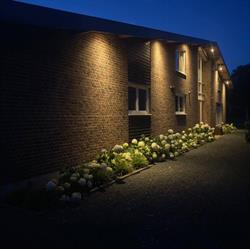 Dressuur Stal La Reve
