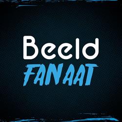 Beeldfanaat