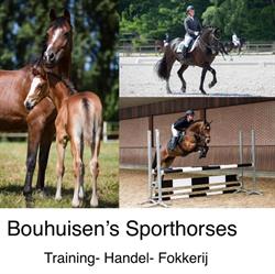 Bouhuisen Sporthorses