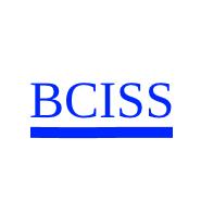 BCISS Holding B.V.