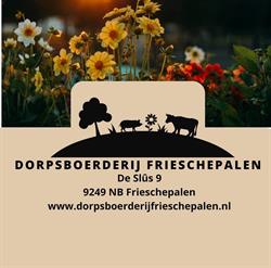 Dorpsboerderij Frieschepalen