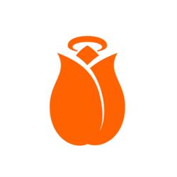 Holland Startup B.V.