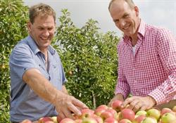 Fruitbedrijf Fitapple