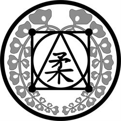 Aikido Yawara in Amsterdam en Heiloo