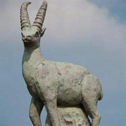 CV de Berggeite