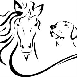 Paarden & Honden verzorgingsservice Emmen