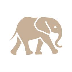 Wings for Conservation