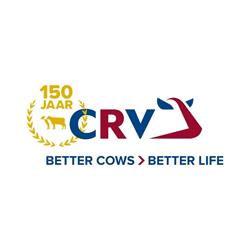CRV