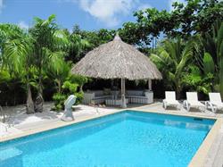 Dreamrentals B.V.