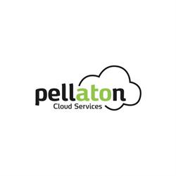 Pellaton Cloud Services
