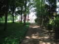 Aal Goud