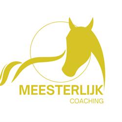 Meesterlijk Coaching
