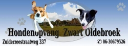Trimsalon Zwart