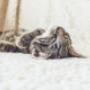 # 3