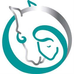 Dabeau Coaching met paarden