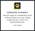 MOEDIGE MINDSET