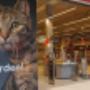 Sfeerfoto, Pets Place De Centrale, Leeuwarden