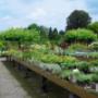 Duizenden tuinplanten