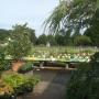 Duizenden vaste planten
