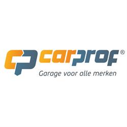 Autobedrijf Roothans Nissan dealer | CarProf