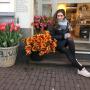 met Tulipen