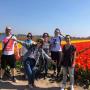 tulpen veld