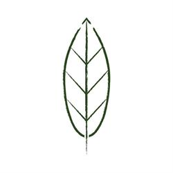De Verticale Tuinman B.V.