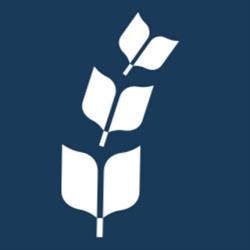 Bible League