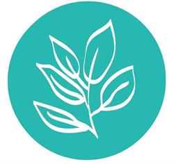 Djente Gorter Homeopathie