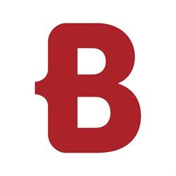 BORM Nederland b.v.