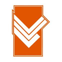 VV Lemelerveld