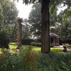 Theehuis van Mevrouw van Best