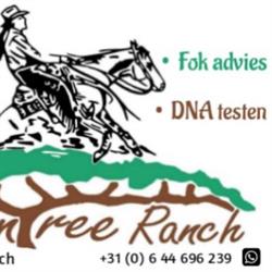 CounTree Ranch