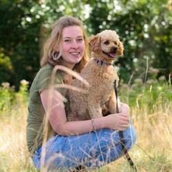 Iris voor Honden