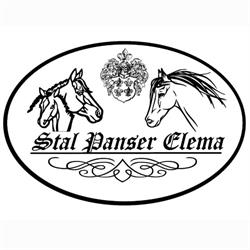 Stal Panser Elema