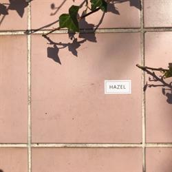 HAZEL