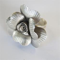 All NiSi Creations
