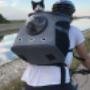 Cat carriers for bike