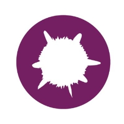 Sirius Smartshop Venlo