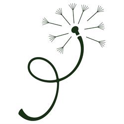 Pelusa