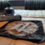 1 minuut test matras