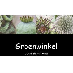 Bloemenspeciaalzaak Groenwinkel - Beuningen