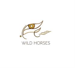 Wild Horses Coaching