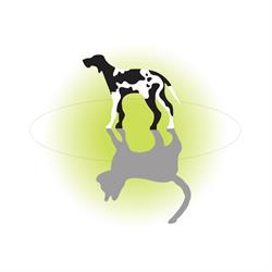Dierenartsenpraktijk Groesbeek, Beek, Malden, Millingen a/d Rijn, Milsbeek