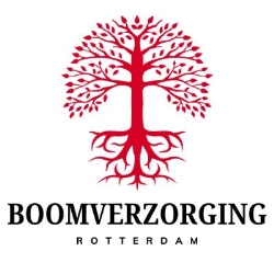 Boomverzorging Rotterdam