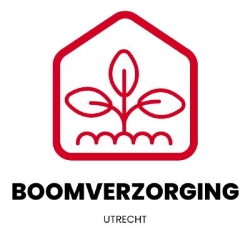 Boomverzorging Utrecht